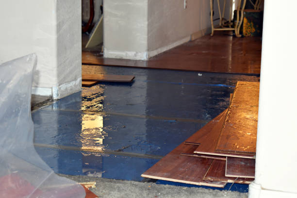 Professional Sewage Cleanup technician working in Stotts City, MO